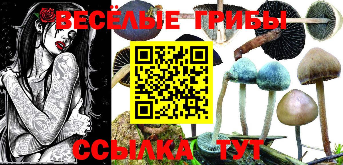 Галлюциногенные грибы прущие грибы  Вход с VPN  Муром 