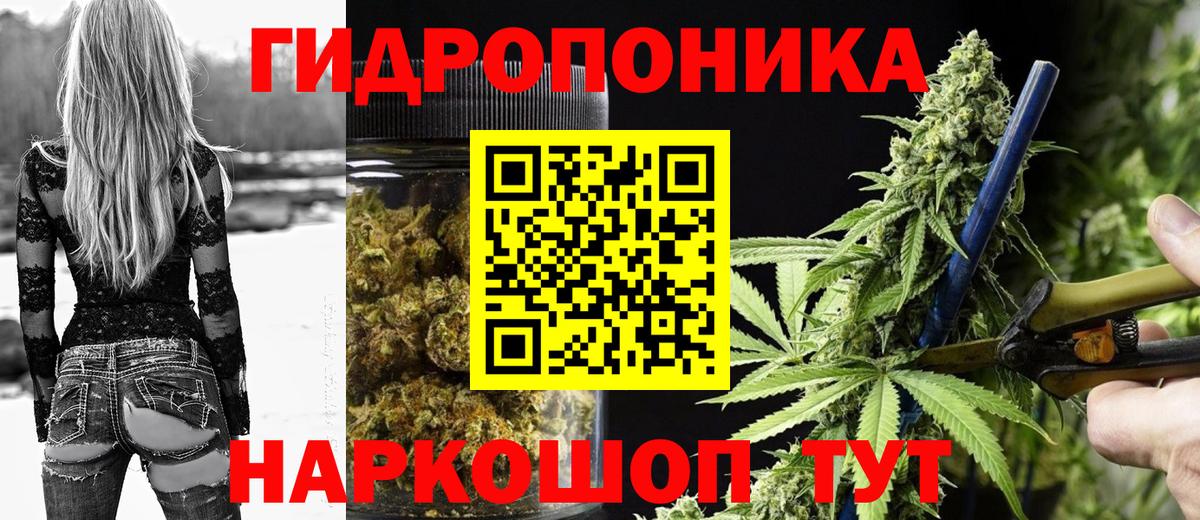 Шишки марихуана семена Муром